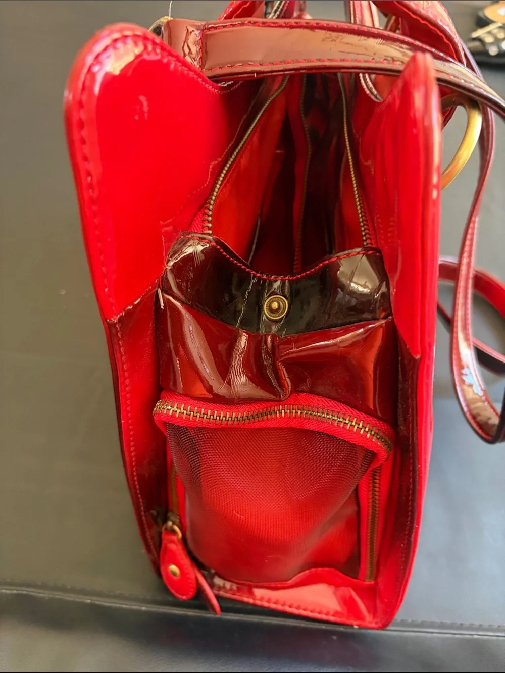 Chrome Bones Adrian Beyaz Fleur De CA Red Luxury Pet Carrier Dog Cat Travel NWT - Picture 5 of 15
